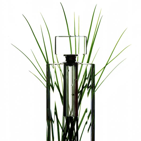 TEA TREE